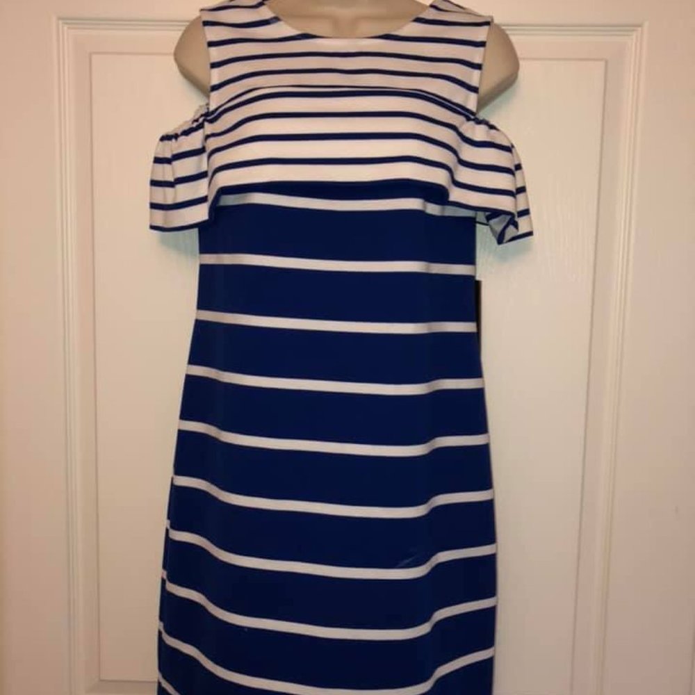 Vince Camuto Blue and White Striped Dress